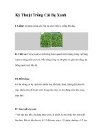 Kỹ Thuật Trồng Cải Bẹ Xanh pptx