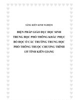 Biện pháp giáo dục học sinh trung học phổ thông khắc phục bỏ học ở các trường trung học phổ thông thuộc chương trình 135 tỉnh Kiên Giang