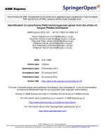 Báo cáo toán học: 