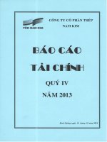 báo cáo tài chính quý 4 năm 2013 công ty cổ phần thép nam kim
