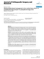 báo cáo hóa học: