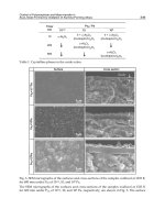 Mass Transfer in Multiphase Systems and its Applications Part 10 ppt