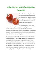 Giống Cà Chua Mới Chống Chịu Bệnh Sương Mai ppt