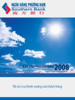báo cáo thường niên 2008 ngân hàng phương nam southern bank tất cả vì sự thịnh vượng của khách hàng