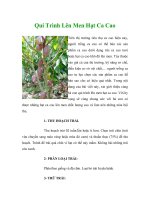 Qui Trình Lên Men Hạt Ca Cao potx