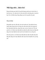 Mũi đẹp nhờ... khéo léo! pdf