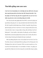 Tìm hiểu giống cam cara cara pptx