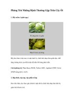 Phòng Trừ Những Bệnh Thường Gặp Trên Cây Ổi pptx