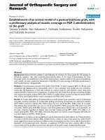 báo cáo hóa học: