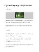 Quy Trình Kỹ Thuật Trồng Mới Cao Su docx