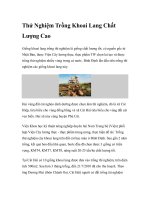 Thử Nghiệm Trồng Khoai Lang Chất Lượng Cao pot