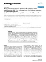 Báo cáo hóa học: 