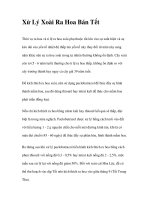 Xử Lý Xoài Ra Hoa Bán Tết doc