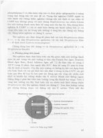 Phương pháp phân tích vi sinh vật part 5 ppt