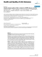 báo cáo hóa học: