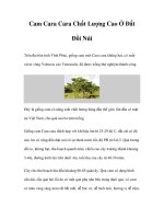 Cam Cara Cara Chất Lượng Cao Ở Đất Đồi Núi doc