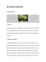 Kỹ Thuật Trồng Dừa doc