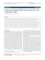 Báo cáo hóa học: 