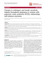 báo cáo hóa học: