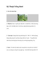 Kỹ Thuật Trồng Bưởi doc