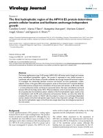 Báo cáo hóa học: 