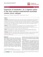 báo cáo hóa học: