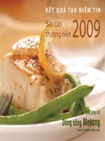 báo cáo thường niên 2009 kết quả tạo niềm tin quà tặng của dòng sông mekong