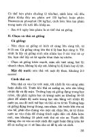 Kỹ thuật nuôi cá mú part 6 potx