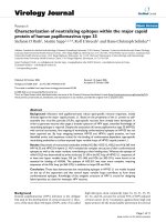 Báo cáo hóa học: 