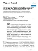 Báo cáo hóa học: 