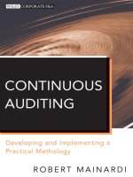 Harnessing the Power of Continuous Auditing_1 docx