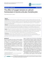 White and Gibson Journal of Orthopaedic Surgery and Research 2010, 5:27 docx