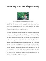 Thành công từ mô hình trồng quít đường pot