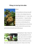 Phòng trừ sâu hại trên nhãn docx