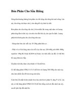 Bón Phân Cho Sầu Riêng pot