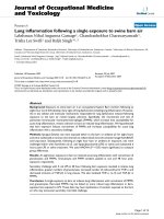 Báo cáo hóa học: 