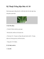 Kỹ Thuật Trồng Đậu Đũa AG 10 docx