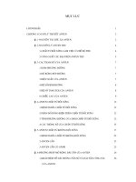 LUẬN VĂN VIỄN THÔNG PHƯƠNG PHÁP GIẢM NHỎ KÍCH THƯỚC ANTEN MF/HF VÀ THIẾT KẾ ANTEN CỘT BUỒM CÓ MẠCH GIẢM NHỎ KÍCH THƯỚC CỦA MÁY JSS720