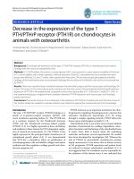 Becher et al. Journal of Orthopaedic Surgery and Research 2010, 5:28 doc