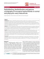 báo cáo hóa học: