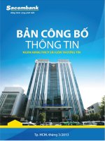bản công bố thông tin ngân hàng thương mại cổ phần sài gòn thương tín sacombank đăng ký phát hành cổ phiếu