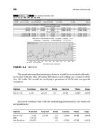 Option Strategies Profit Making Techniques for Stock Index and Commodity Options 2nd Edition_5 ppt