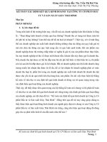 Kế toán doanh thu bán hàng và xác định kết quả kinh doanh tại công ty cổ phần đầu tư và sản xuất giày Thái Bình