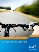 báo cáo thường niên 2010 vib xây dựng nền tảng bền vững ngân hàng quốc tế