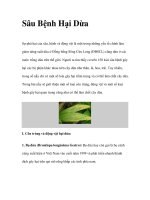 Sâu Bệnh Hại Dừa pot