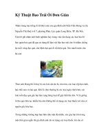 Kỹ Thuật Bao Trái Ổi Đơn Giản docx