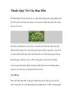 Thuốc Quý Từ Cây Rau Dền ppt