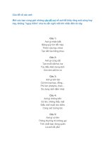 Câu đố về các axit trong hóa học