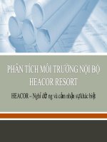 Phân tích môi trường nội bộ heacor resort
