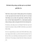 Mô hình trồng măng cụt hiệu quả cao tại thành phố Bến Tre doc